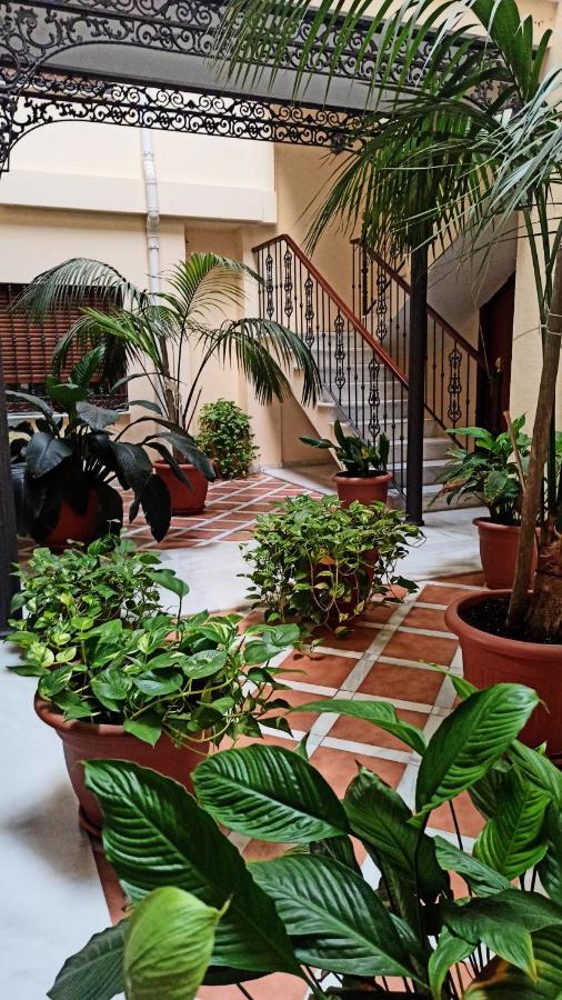 Botanic Suite Málaga Buitenkant foto