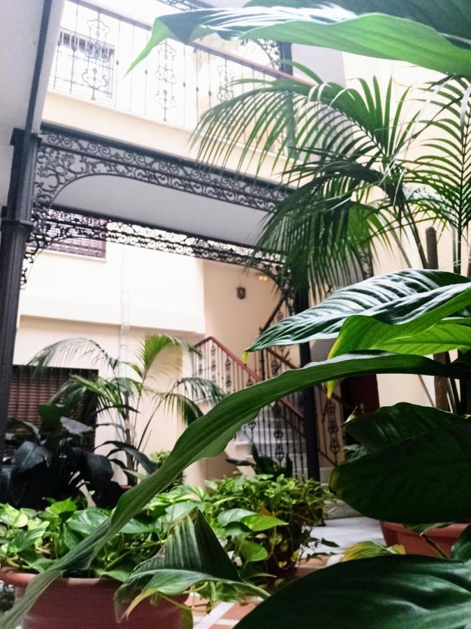 Botanic Suite Málaga Buitenkant foto
